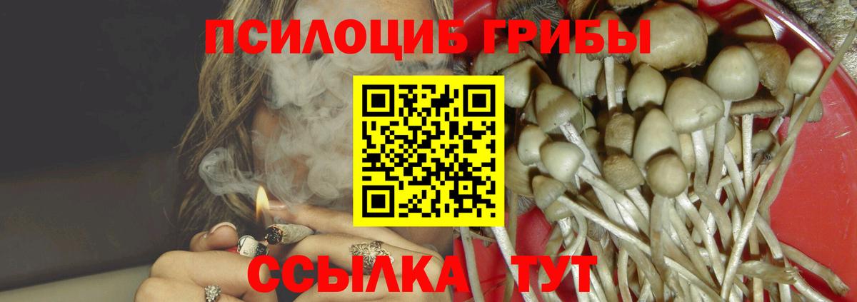 Галлюциногенные грибы Psilocybine cubensis  Вход с VPN  Уссурийск  Галлюциногенные грибы Magic Shrooms 