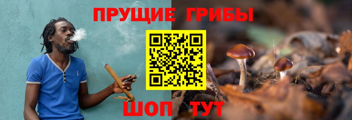 Псилоцибиновые грибы ЛСД Уссурийск